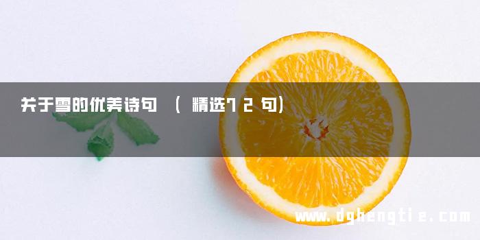 关于雪的优美诗句 (精选72句)